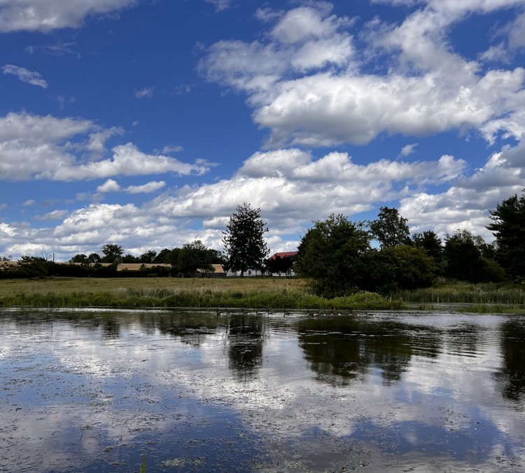 Whitpain Township Park - Mermaid Lake (Blue&nbspBell,&nbspPA)